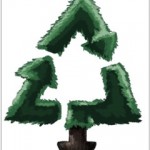 Recycle your Holiday Tree! Image Courtesy of Goolge Images